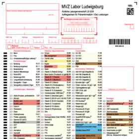 Muster Laborauftragsschein Selbstzahler
