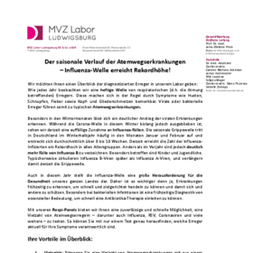 Influenza-Welle_Feb 2025
