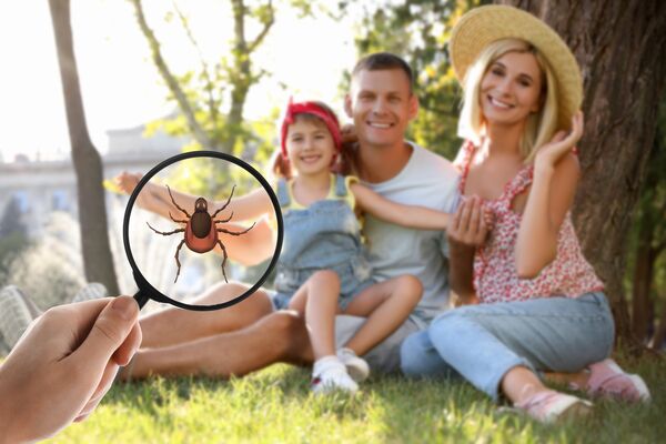 Family,Sitting,Near,Tree,Outdoors,And,Don't,Even,Suspect,About